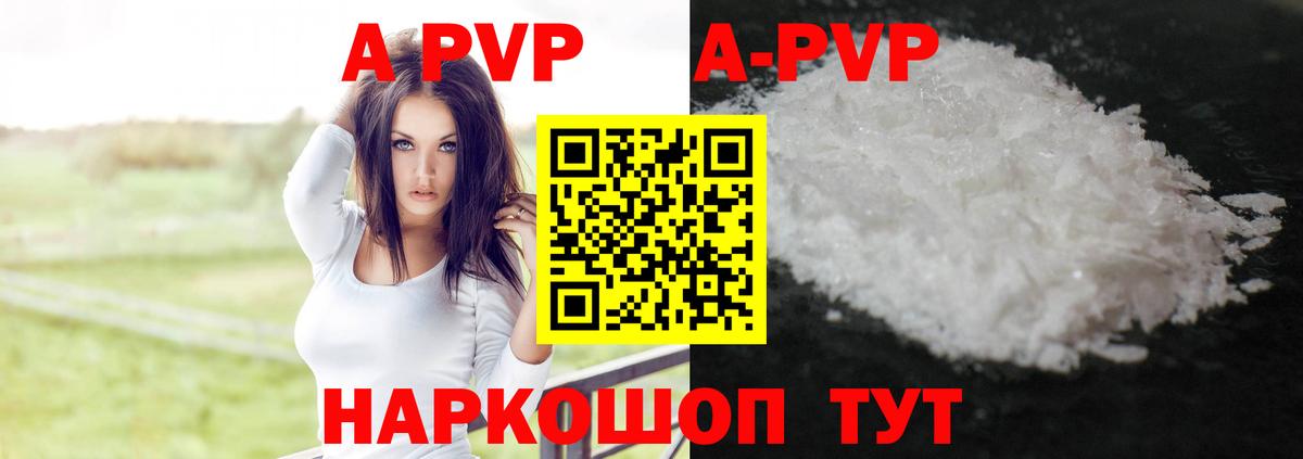 A-PVP СК КРИС Заинск