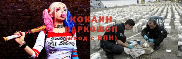 альфа пвп Медвежьегорск