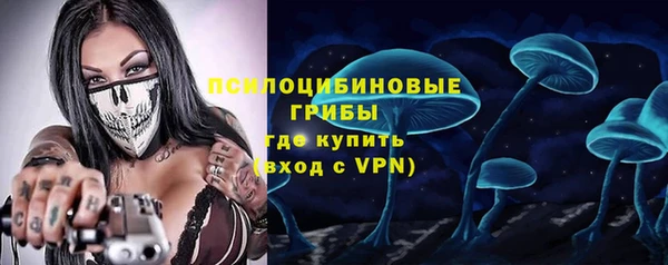 не бодяженный Михайлов