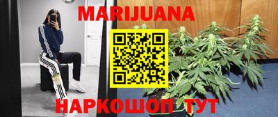 сатива Балахна