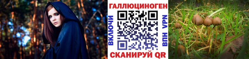 Псилоцибиновые грибы мухоморы Заинск