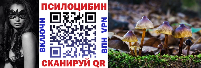 shop как зайти  Заинск  Галлюциногенные грибы Cubensis 