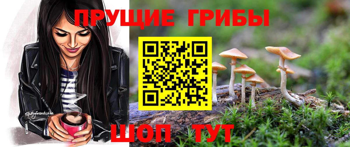 Галлюциногенные грибы мухоморы Заинск