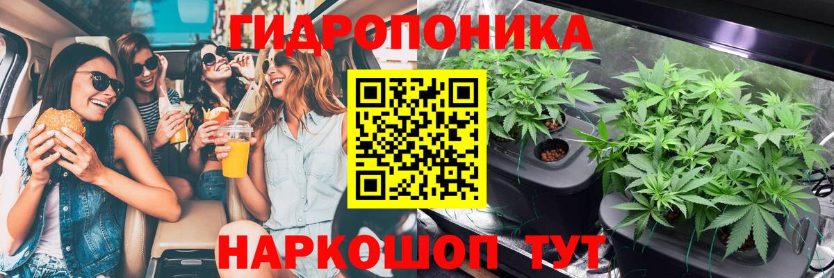 МАРИХУАНА планчик  Бошки Шишки сатива  Вход с VPN  Канабис AK-47  Бошки Шишки семена  Заинск 